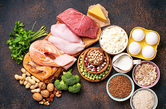 quali sono gli alimenti che contengono proteine?